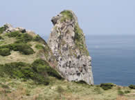 Monkey Rock